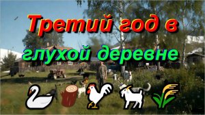 За 80 тысяч — целое подворье! Почему я не жалею о переезде в тишину 🏠😍