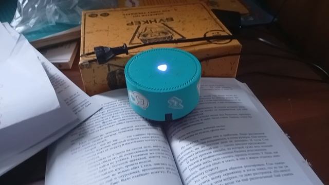 Алиса ты чего?