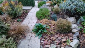 Высадила лириопе Вариегата и весь лихнис, что рос на круглой площадке, 29.11.2025 г. Пятигорск.