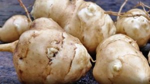 О топинамбуре