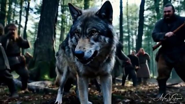 Баллада о деве в красном и сером волке смотреть онлайн