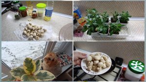 Маринованные шампиньоны.Цветочки