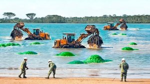 Китай Вылил 50 Миллионов Литров Кислоты в Африканскую Реку, Месяц Спустя Мир Был Шокирован