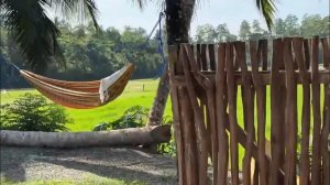 Шри-Ланка 2025.  Мирисса. Начало наших путешествий. ☺️#srilanka #путешествия