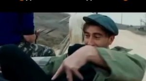 Дай в рот вам здоровья. Каха в телеге. Смотреть видео