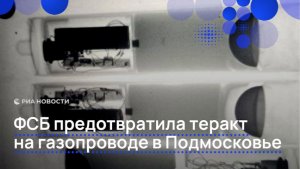 ФСБ предотвратила теракт на газопроводе в Подмосковье