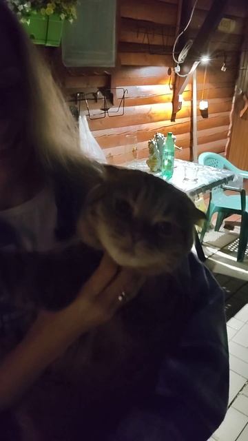 Сергей и Алиса | История двух сердец | Дачные видеозарисовки | От Алисы не убежишь