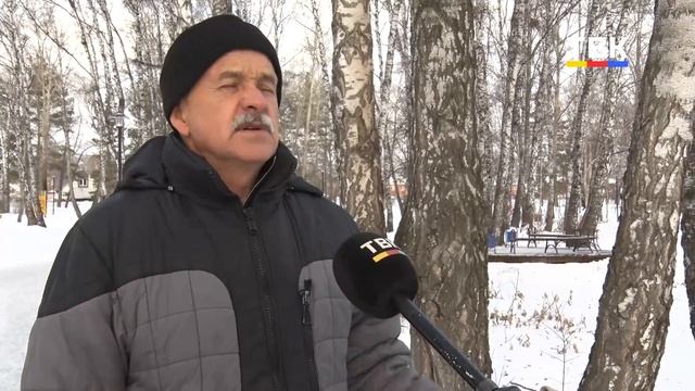 Собачье дело: почему собаки разделили город на два лагеря