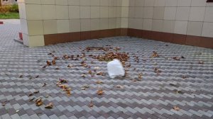 Завихрения листвы