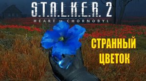 S.T.A.L.K.E.R. 2 Heart of Chornobyl /Сталкер 2/ Легендарный артефакт на Маковом поле/Странный цветок