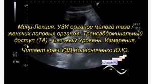 Лекция: УЗИ органов малого таза, Трансабдоминальный доступ (ТА) - Базовый Уровень