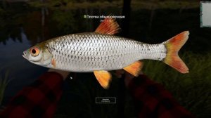 Русская рыбалка 4 / Прохождение №1/ Обучение и знакомство