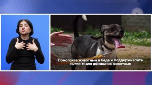 Говорим о важном с Дмитрием Цыпиным 1 декабря 2025г(с сурдопереводом)