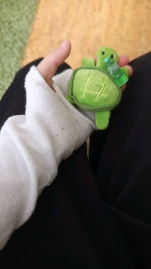 продолжаем делать домик для черепашки