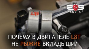 Сравнение вкладышей GM L87 и L8T - почему не рыжие вкладыши?