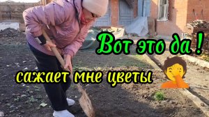 Ейск ! Приехала Надежда сажать растишки, преображение малого дома, готовят окно к замене! 29-11-2025