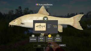 РАЗДАЧА УСАЧА АЛЬБИНОСА НА МЕДВЕЖКЕ, ФАРМ НА АРХИПЕЛАГЕ КУЧА ТРОФОВ НА ЛОСИНОМ В РУССКОЙ РЫБАЛКЕ 4