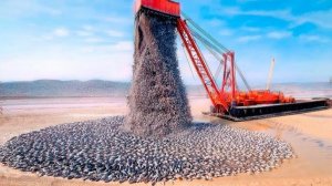 Они Закопали Тонны Устричных Раковин Под Умирающей Землей, 5 Лет Спустя Результат Был Безумным