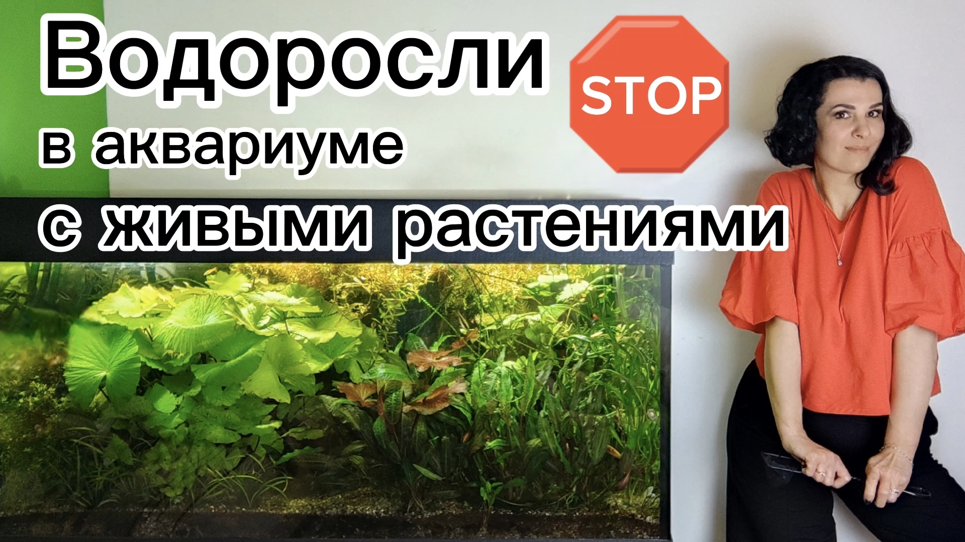 Борьба с водорослями в аквариуме травнике смотреть онлайн