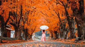 Музыка Для Души ,, Эту музыку можно слушать вечно @музыкадуши1