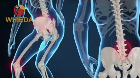 Продукция WHIEDA