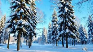 Это все зима.