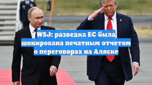 WSJ: разведка ЕС была шокирована печатным отчетом о переговорах на Аляске