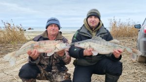 Рыбалка на Цимлянском водохранилище. Судак поздней осенью.
