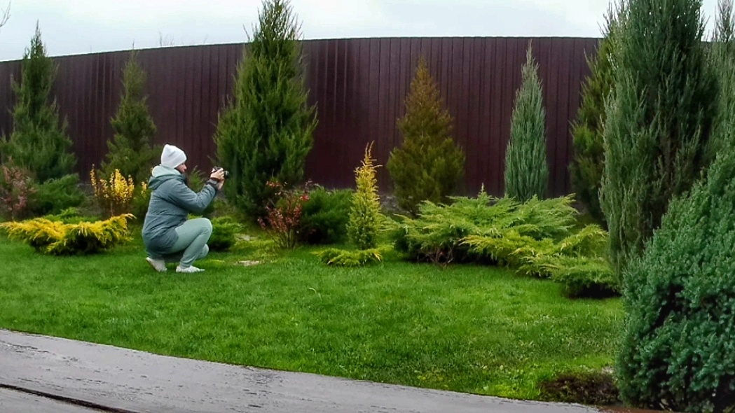 ДВА МОИХ УВЛЕЧЕНИЯ В ОДНОМ ВИДЕО | МОЖЖЕВЕЛОВЫЙ САД | ВИДЕОСЪЁМКА 29.11.2025г.