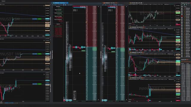 47-Pippinusdt-Long-Profit-25-11-2025-08-28-22