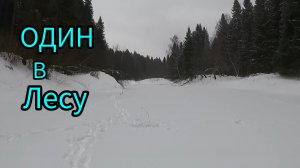 РЫБАЛКА НА КОСЫНКИ НА ТАЕЖНОЙ РЕЧКЕ. ОДИН В ЛЕСУ.