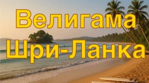 Велигама _ Шри Ланка 2024 _ Как мы попали на вылупившихся черепах. Отель с обезьянами. #шриланка2024