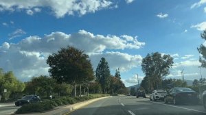 VLOG Кошачья суета. ДР Саши. День благодарения