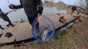 Форель 5,5 кг в зачете