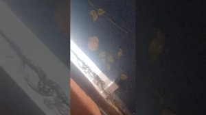 ответ_вопрос