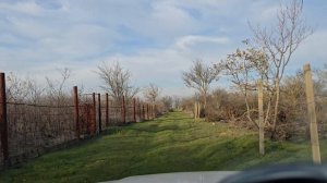 СНТ Эскулап Крым