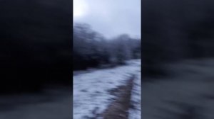 эТо МИНТАКА | MNTK Божениново, Алексинский район, Тульская область