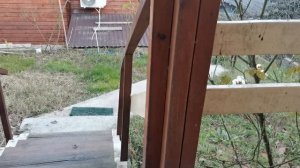 СОЧИ ГОРНОЕ ЛОО ВЕЧЕР  29.11.2025