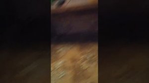 пр бро
! НоВоСтИ !