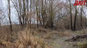 Заехал к реке.Послезавтра Декабрь.