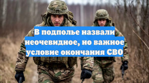 В подполье назвали неочевидное, но важное условие окончания СВО