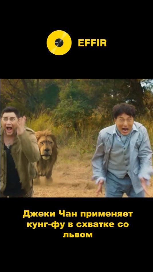 Супер Джеки Чан применяет кунг-фу в схватке со львом захватывающие моменты в фильме ... смотреть онлайн