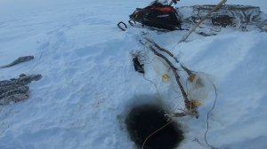 Рыбалка на перемёты. Налим чуть не утащил. Секс на Енисее...