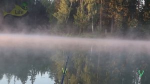 Кто уничтожил всех раков в наших водоемах?! Неприятная правда...