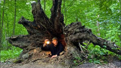 Строю секретное убежище в упавшем дереве. Бушкрафт