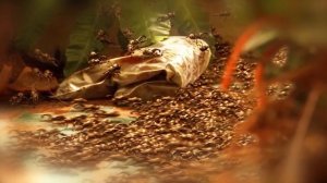 Краткий пересказ фильма (29.11.2025)