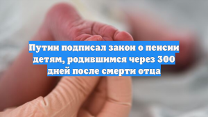 Путин подписал закон о пенсии детям, родившимся через 300 дней после смерти отца