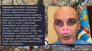 Николаев 29 ноября 2025 года (новости)