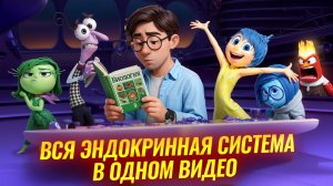 Эндокринная система: РАЗБОР В 3D | Вся тема в одном видео | Биология ОГЭ | Умскул