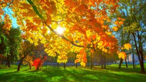 Мне хочется хороших новостей